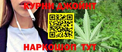 бошки Дубна