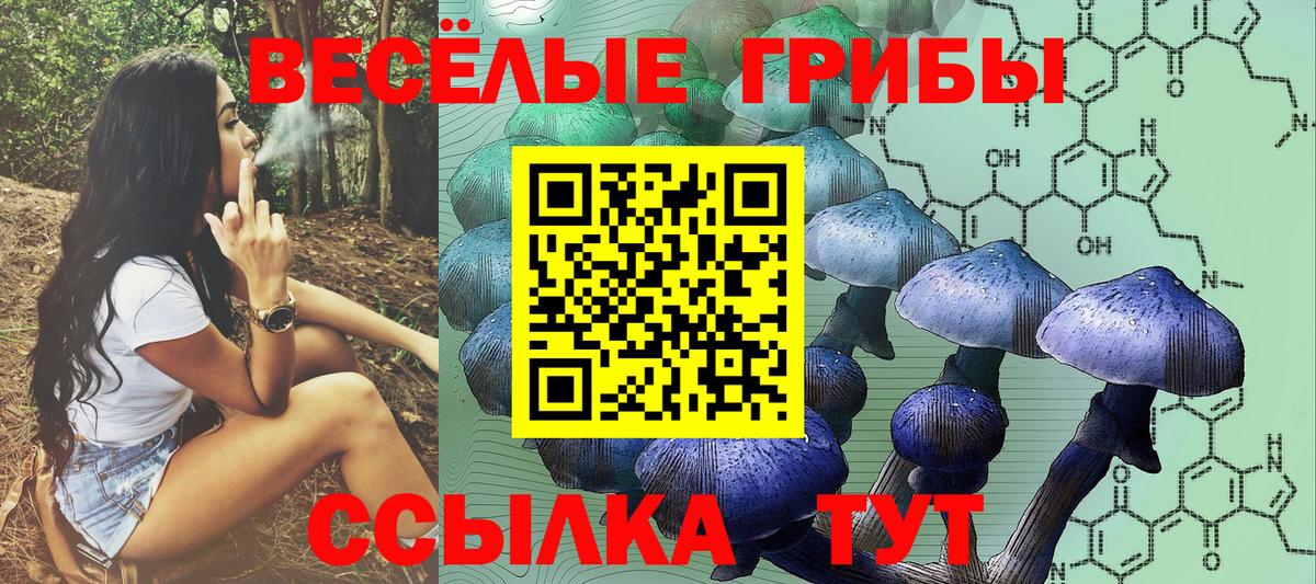 Галлюциногенные грибы прущие грибы  Вход с VPN  Галлюциногенные грибы Psilocybe  Самара 