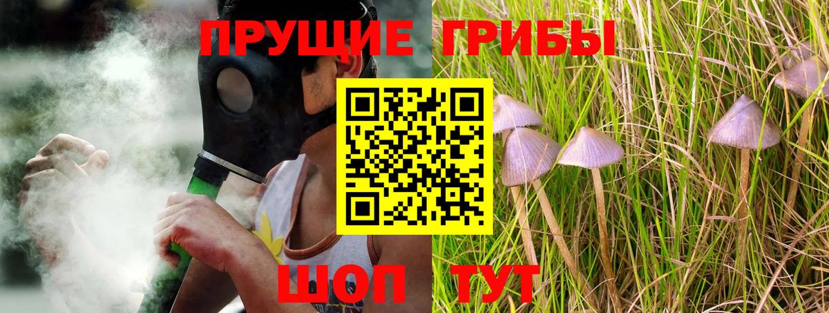 Псилоцибиновые грибы мухоморы Самара
